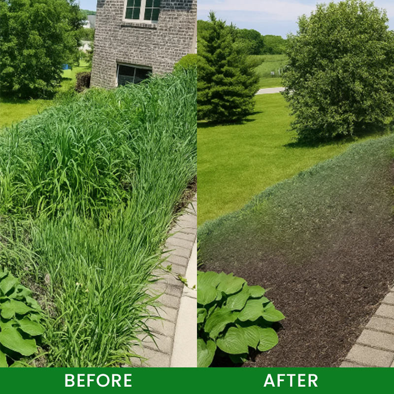 🌲Ourlyard® Cyclosinone Herbicide Granules