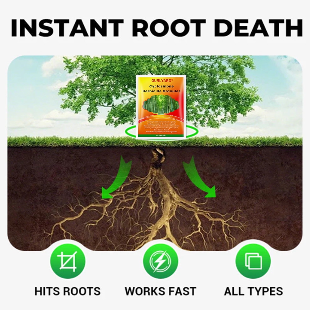 🌲Ourlyard® Cyclosinone Herbicide Granules